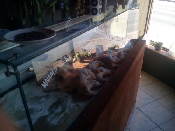 The Coffee House neco k snedku